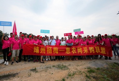 2018湖南·靖州·楊梅節暨產業扶貧產銷會