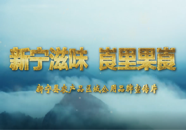 新寧縣區域公用品牌宣傳片