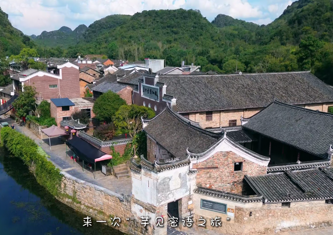 江永香芋—芋見密語之旅農(nóng)文旅推介片