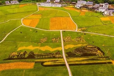 鄉(xiāng)村全面振興規(guī)劃（2024—2027年）