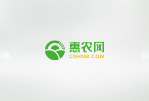 小崗電商助農(nóng)直播電商培訓(xùn)開班